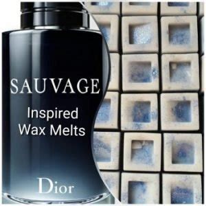 dior sauvage wax melts|Sauvage Wax Melts .